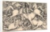 Group of Seven Horses, 1534 by Hans Baldung