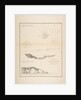 U.S. Coast Survey…Reconnaissance of Smith's or Blunt's Island, Washington / U.S. Coas…, 1854-57 by James Abbott McNeill Whistler/John Young/Charles Knight