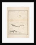 U.S. Coast Survey…Reconnaissance of Smith's or Blunt's Island, Washington / U.S. Coas…, 1854-57 by James Abbott McNeill Whistler/John Young/Charles Knight