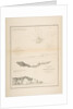 U.S. Coast Survey…Reconnaissance of Smith's or Blunt's Island, Washington / U.S. Coas…, 1854-57 by James Abbott McNeill Whistler/John Young/Charles Knight
