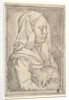Girl with a Cat, 1546 by Jan Cornelisz Vermeyen