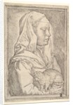 Girl with a Cat, 1546 by Jan Cornelisz Vermeyen
