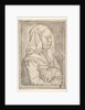 Girl with a Cat, 1546 by Jan Cornelisz Vermeyen