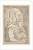 Girl with a Cat, 1546 by Jan Cornelisz Vermeyen