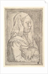Girl with a Cat, 1546 by Jan Cornelisz Vermeyen