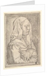 Girl with a Cat, 1546 by Jan Cornelisz Vermeyen