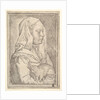 Girl with a Cat, 1546 by Jan Cornelisz Vermeyen