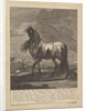 Horse, 18th Century by Unknown