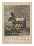 Horse, 18th Century by Unknown