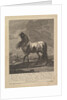 Horse, 18th Century by Unknown