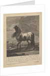 Horse, 18th Century by Unknown