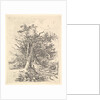 Tree Trunks and Lane, 1811-13 by John Crome
