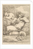 Musical Monster, December 8, 1778 by John Hamilton Mortimer