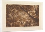 Aesacus and Hesperie, Vide Ovid Metamorphosis, Book X by JMW Turner