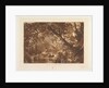 Aesacus and Hesperie, Vide Ovid Metamorphosis, Book X by JMW Turner