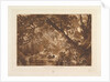 Aesacus and Hesperie, Vide Ovid Metamorphosis, Book X by JMW Turner