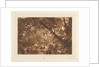 Aesacus and Hesperie, Vide Ovid Metamorphosis, Book X by JMW Turner