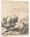The Two Horses, 17th century by Karel Du Jardin