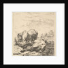 The Two Horses, 17th century by Karel Du Jardin