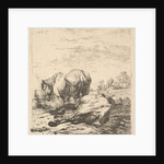 The Two Horses, 17th century by Karel Du Jardin