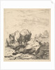 The Two Horses, 17th century by Karel Du Jardin