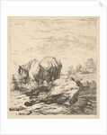 The Two Horses, 17th century by Karel Du Jardin