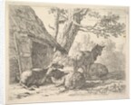 Four sheep, one sheep stands among three others lying on the ground next to a shed with th…, 1658 by Karel Du Jardin