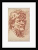 Head of an Old Man, mid to late 18th century by Louis Marin Bonnet