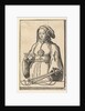 Agrippine Sibyl, from the series of Sibyls, ca. 1530 by Lucas van Leyden