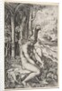 Venus removing a thorn from her left foot while seated on a cloth next to trees, a …, ca. 1515-27 by Marco Dente