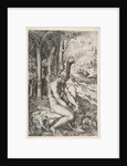 Venus removing a thorn from her left foot while seated on a cloth next to trees, a …, ca. 1515-27 by Marco Dente