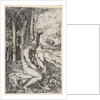 Venus removing a thorn from her left foot while seated on a cloth next to trees, a …, ca. 1515-27 by Marco Dente