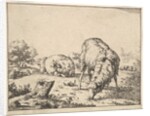 Sheep, from a set of 16 plates, 1664 by Marcus de Bye