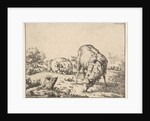 Sheep, from a set of 16 plates, 1664 by Marcus de Bye