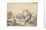 Sheep, from a set of 16 plates, 1664 by Marcus de Bye