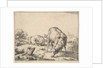 Sheep, from a set of 16 plates, 1664 by Marcus de Bye
