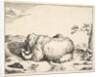 from The Set of The Bears, ca. 1664 by Marcus de Bye