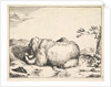 from The Set of The Bears, ca. 1664 by Marcus de Bye