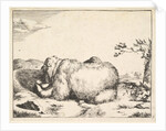 from The Set of The Bears, ca. 1664 by Marcus de Bye
