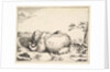 from The Set of The Bears, ca. 1664 by Marcus de Bye