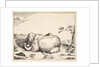 from The Set of The Bears, ca. 1664 by Marcus de Bye