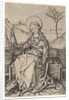Virgin and Child on a Grassy Bench, ca. 1435-1491 by Martin Schongauer