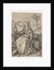 Virgin and Child on a Grassy Bench, ca. 1435-1491 by Martin Schongauer