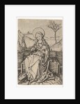Virgin and Child on a Grassy Bench, ca. 1435-1491 by Martin Schongauer
