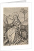 Virgin and Child on a Grassy Bench, ca. 1435-1491 by Martin Schongauer