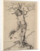 Saint Sebastian, ca. 1435-1491 by Martin Schongauer