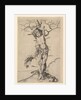 Saint Sebastian, ca. 1435-1491 by Martin Schongauer