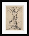 Saint Sebastian, ca. 1435-1491 by Martin Schongauer
