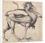 Griffin, ca. 1435-1491 by Martin Schongauer
