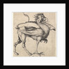 Griffin, ca. 1435-1491 by Martin Schongauer